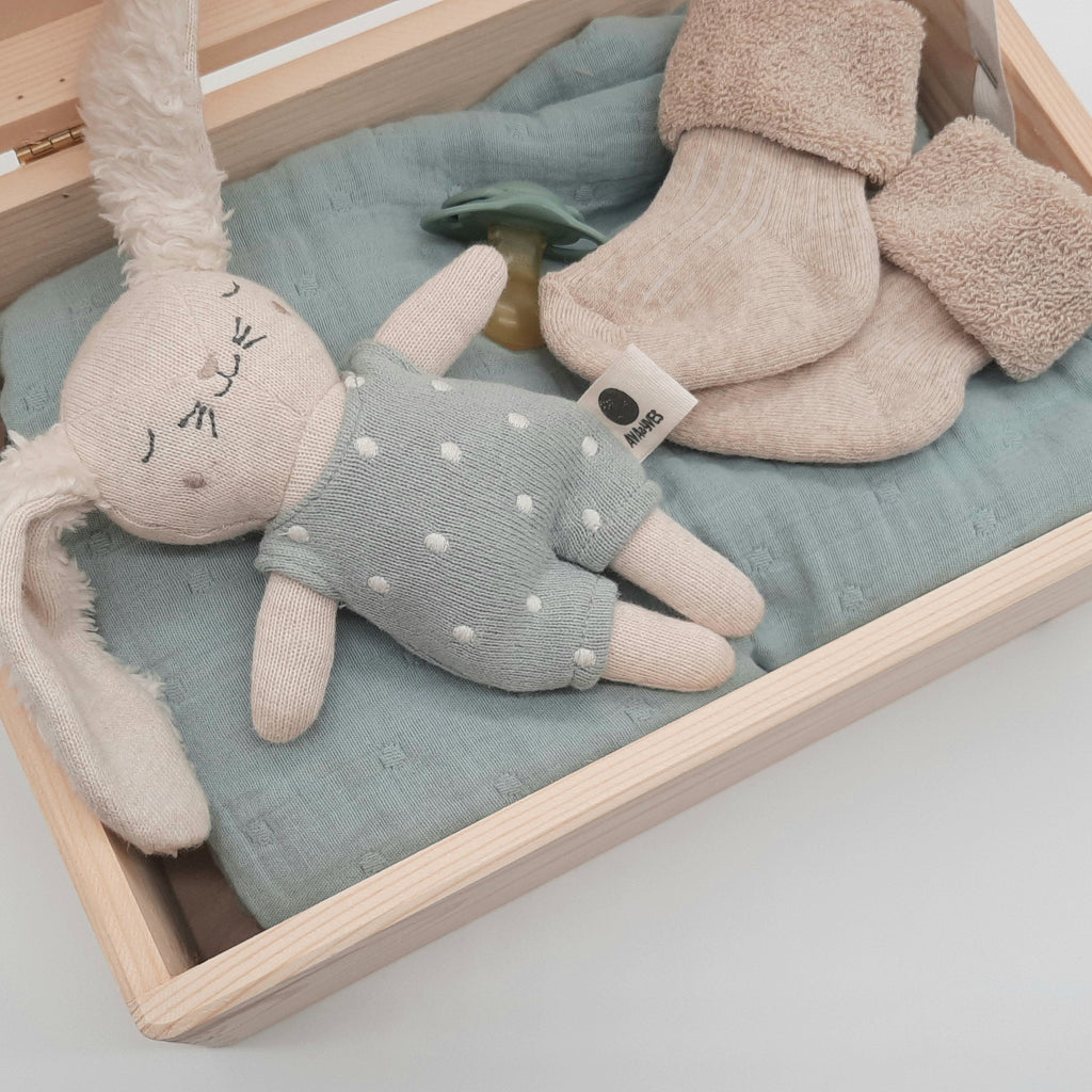 Personalisierte Erinnerungsbox Kleiner Löwe