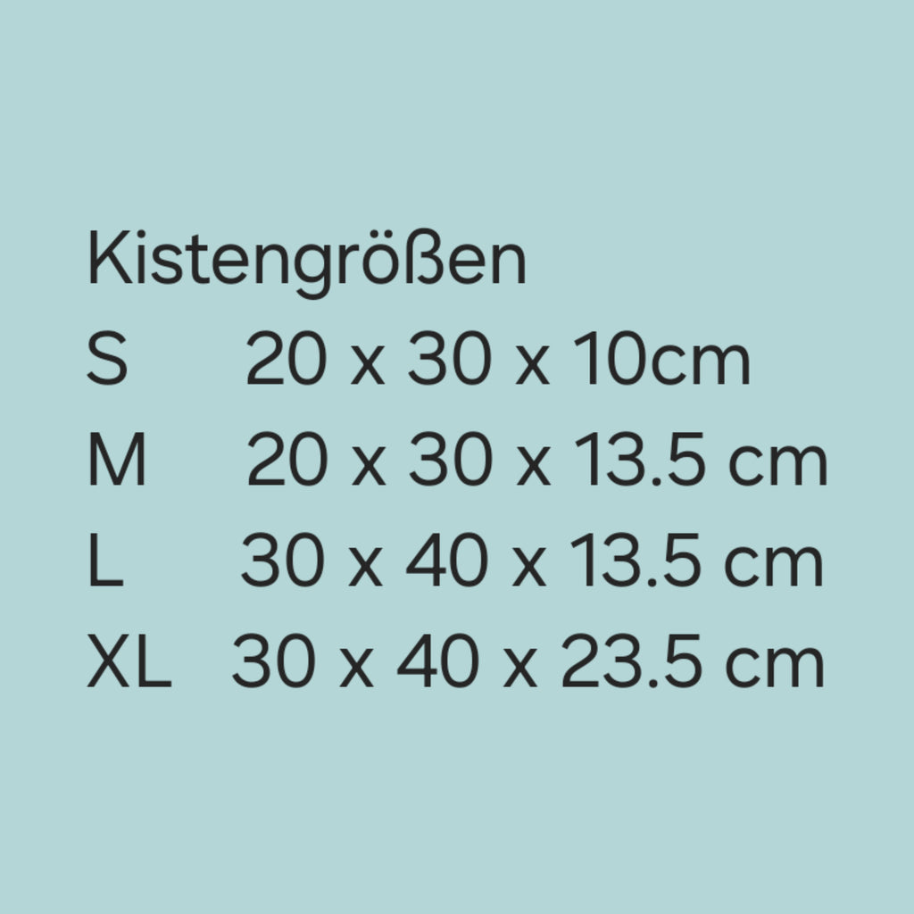 Personalisierte Erinnerungsbox Kleiner Löwe